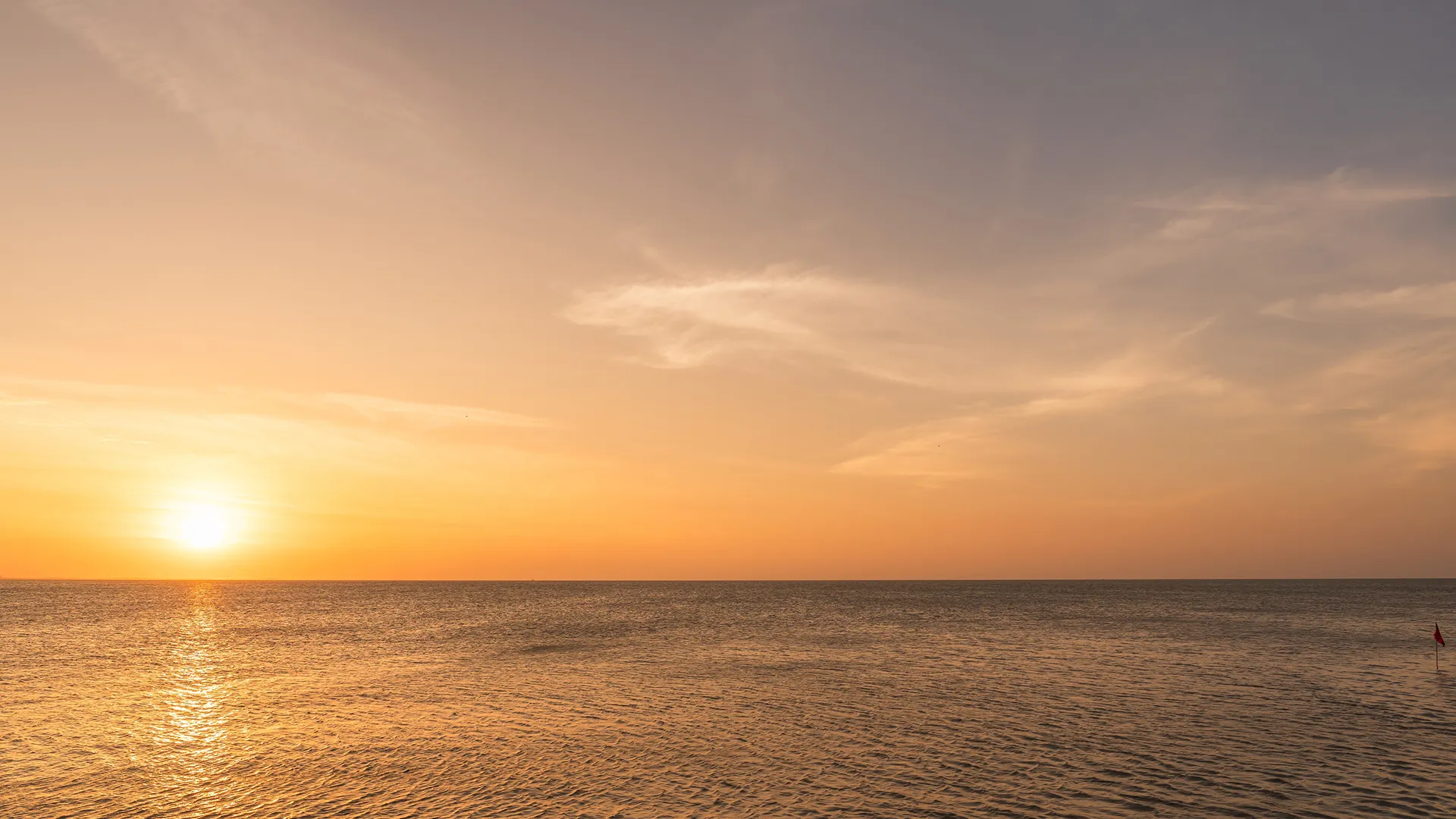 Dr. Hedayati performing mole and unwanted lesion excision