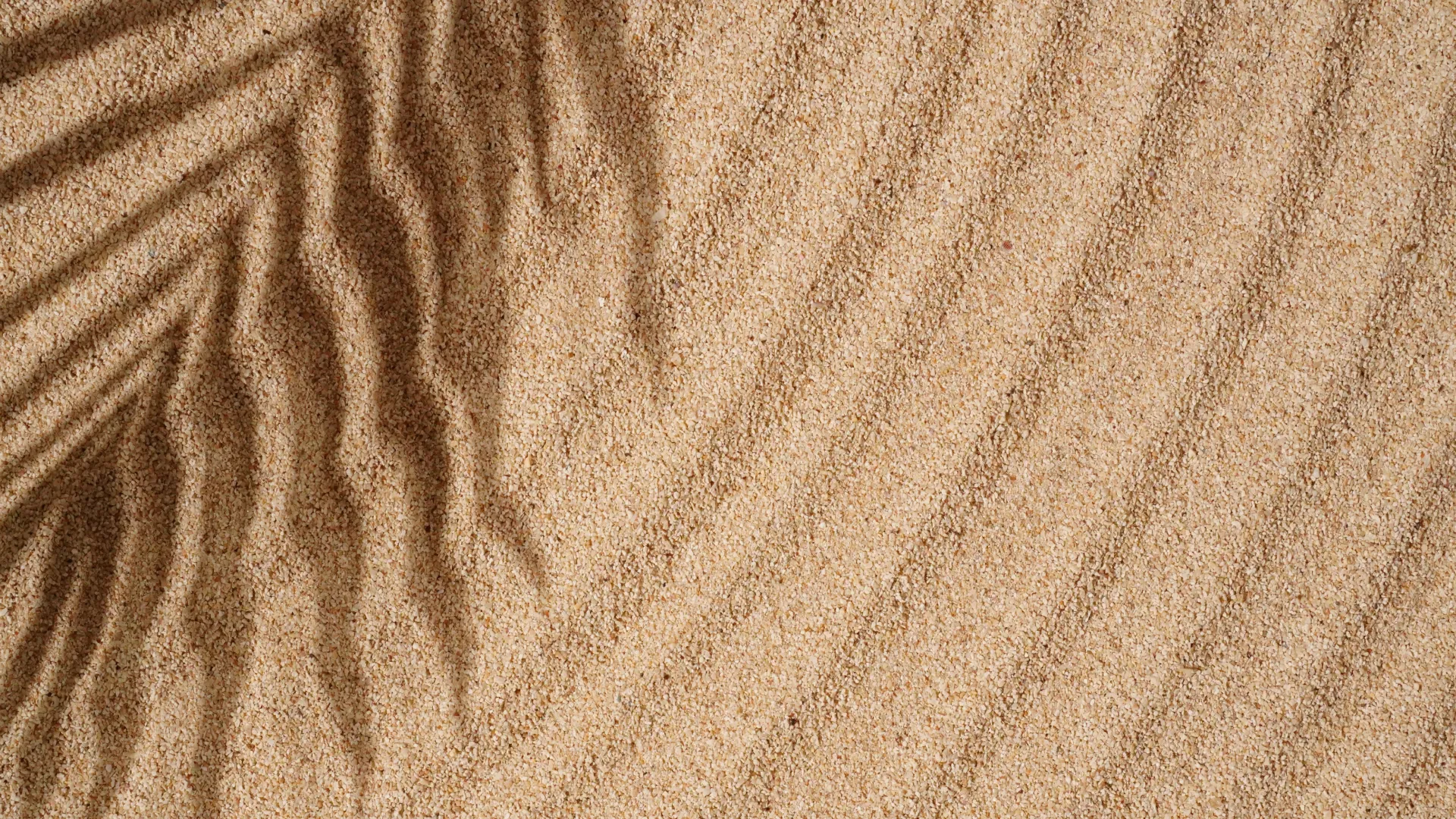 Dr. Hedayati performing mole and unwanted lesion excision