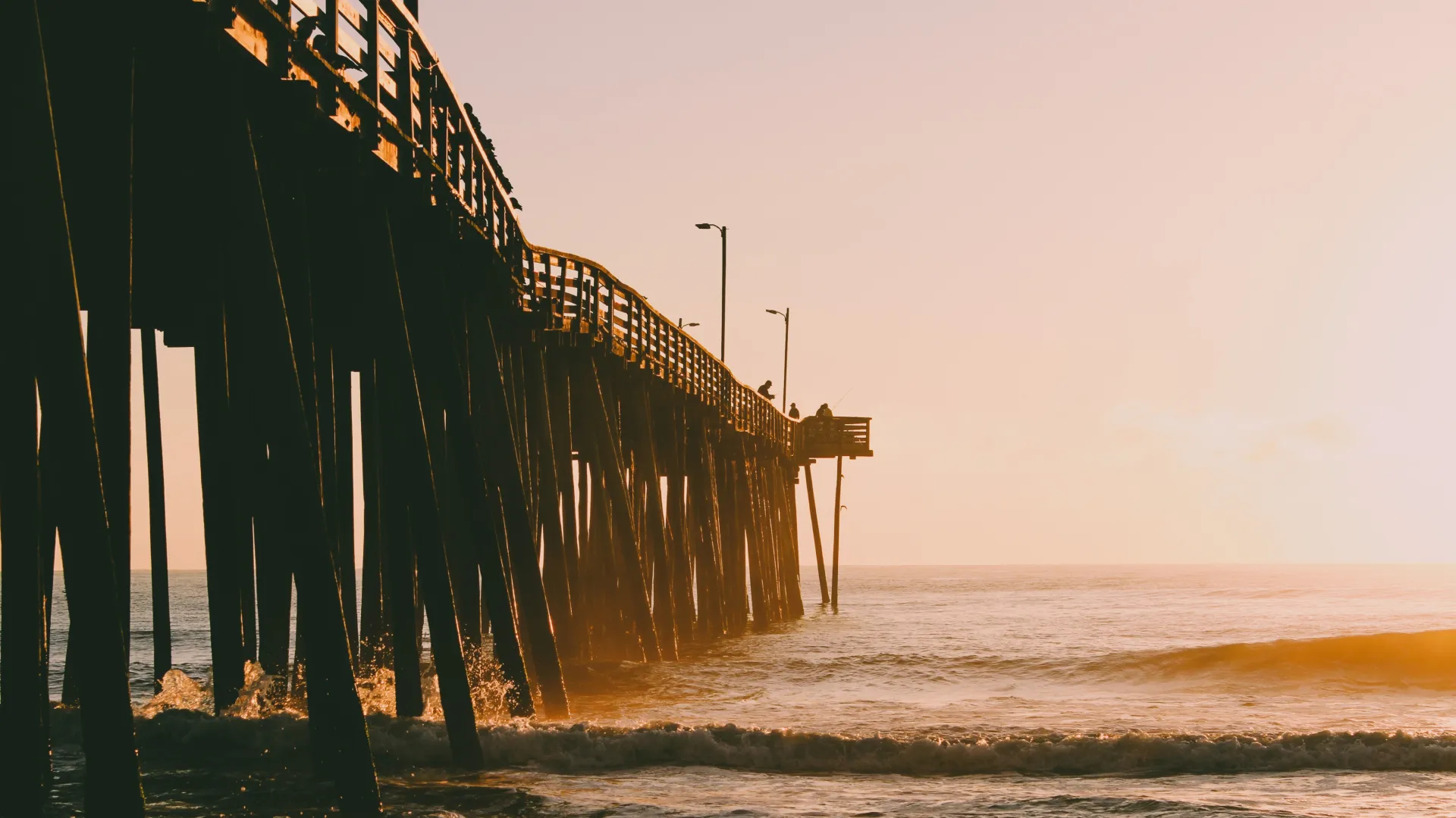 Dr. Hedayati performing Mohs surgery for precise skin cancer removal