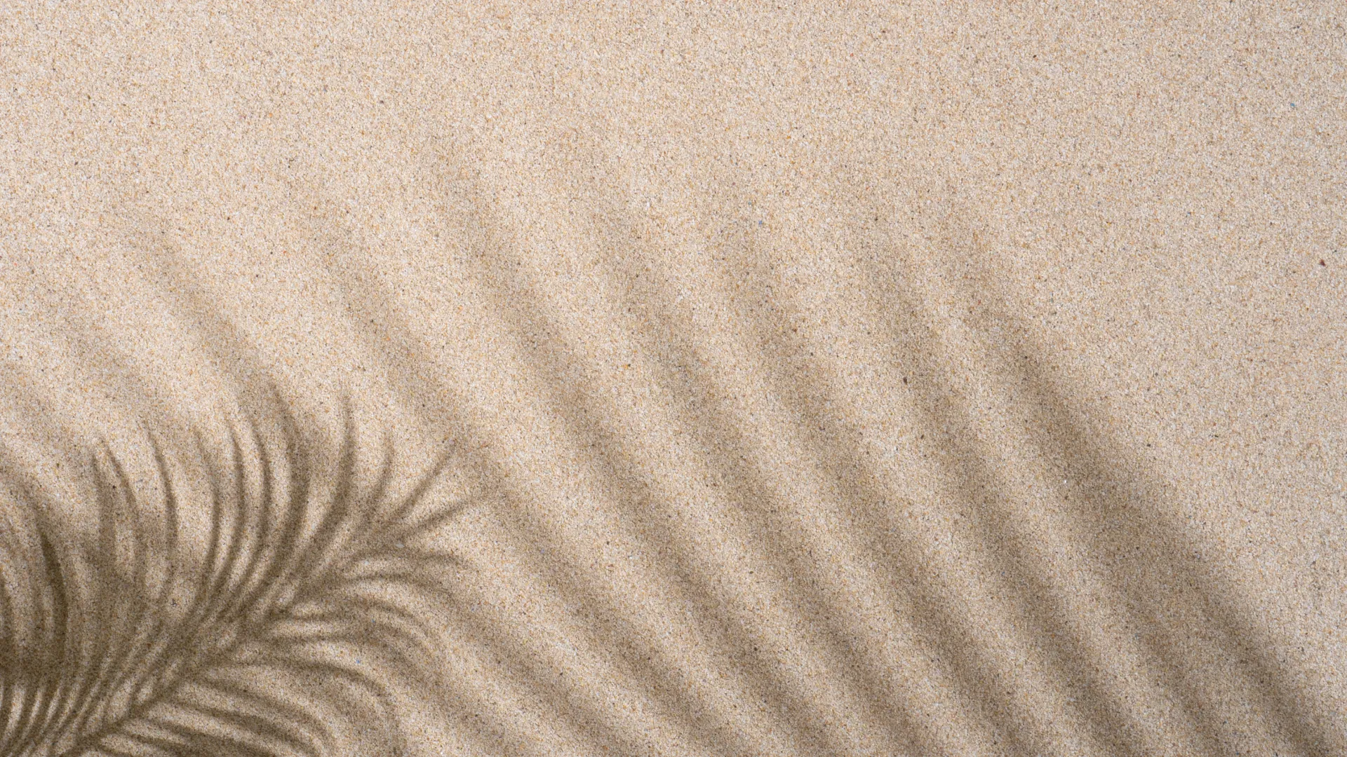 See how New Wave Dermatology ensures its website and services are accessible to people with disabilities in Newport Beach and Orange County.